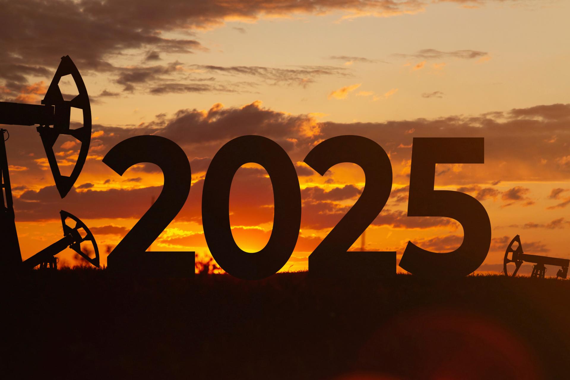 10 Predictions For Preppers and Survivalists in 2025