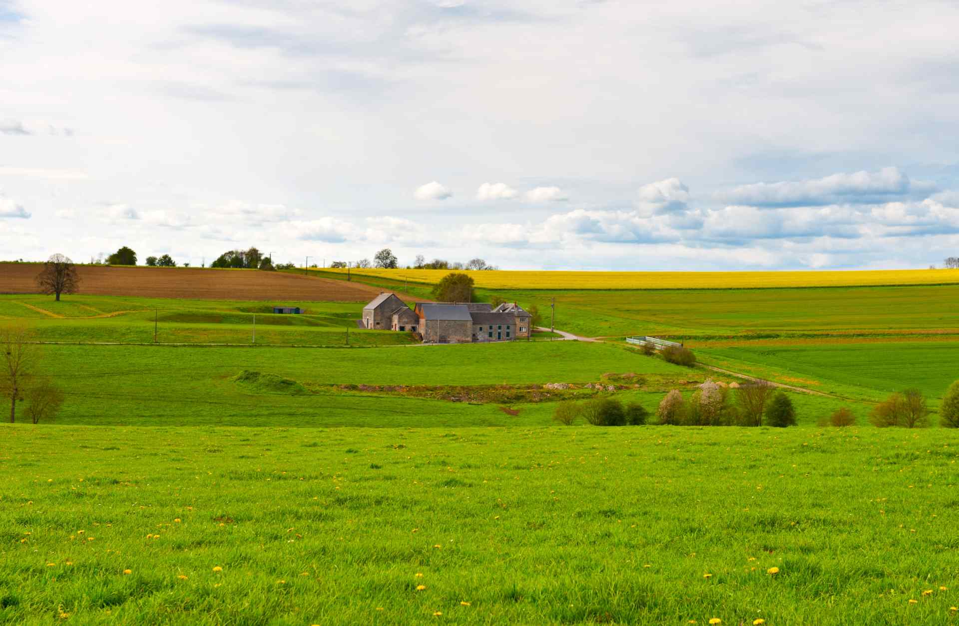 Homesteading: Can you Still get Free Land from the Government?