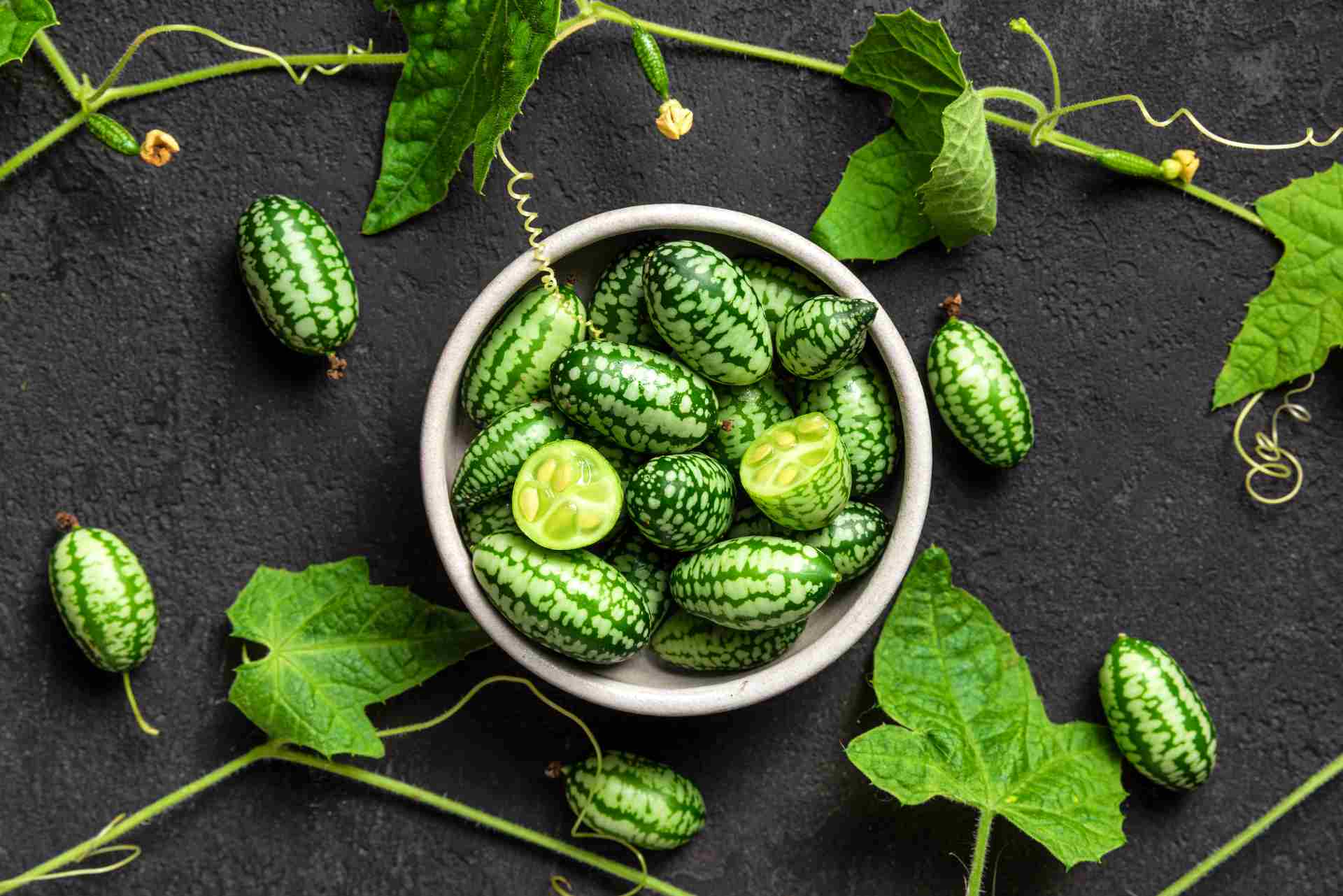 Bowl of cucamelons with vines.