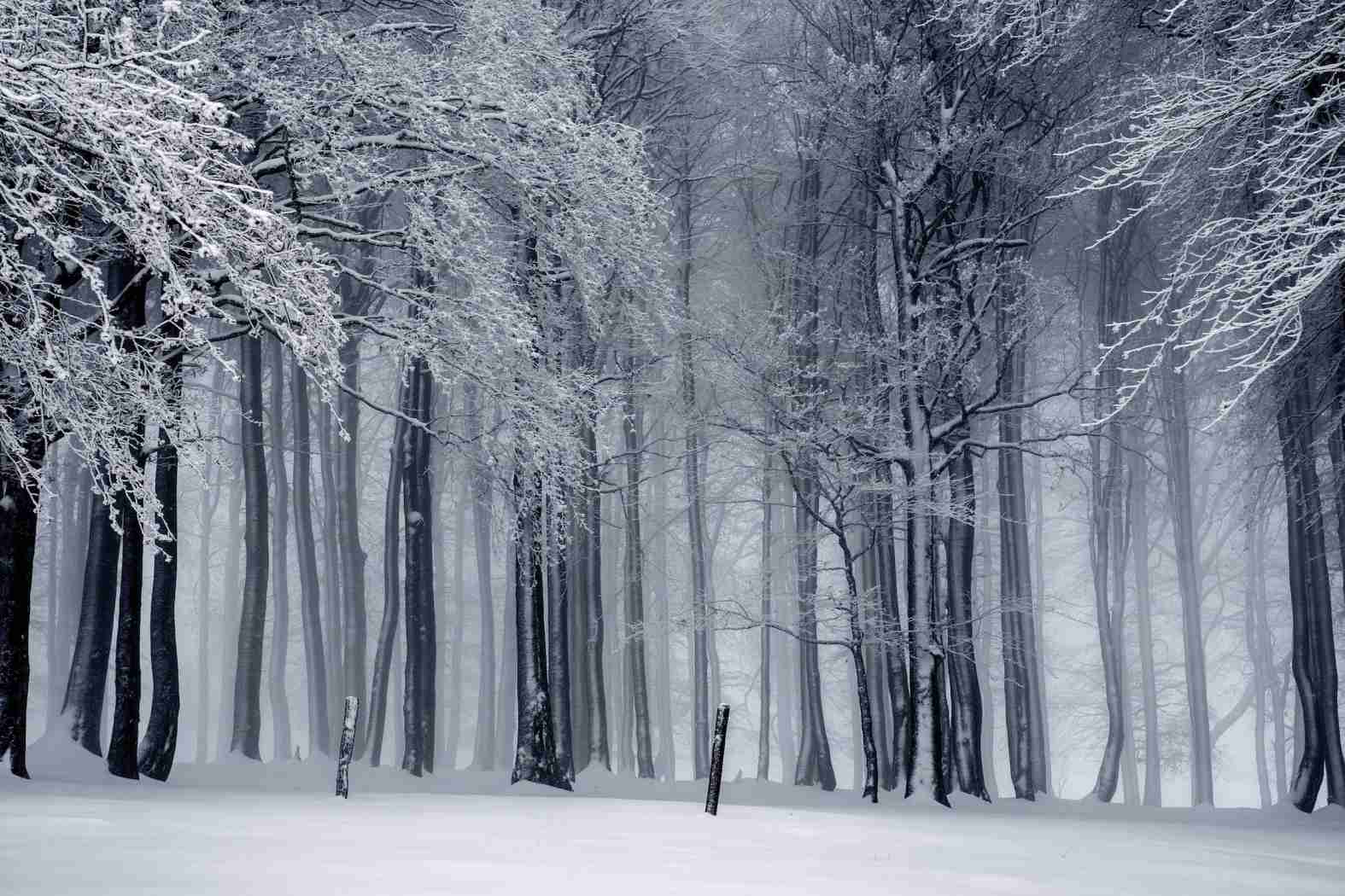 Checklist - How To Prepare For Winter Storms