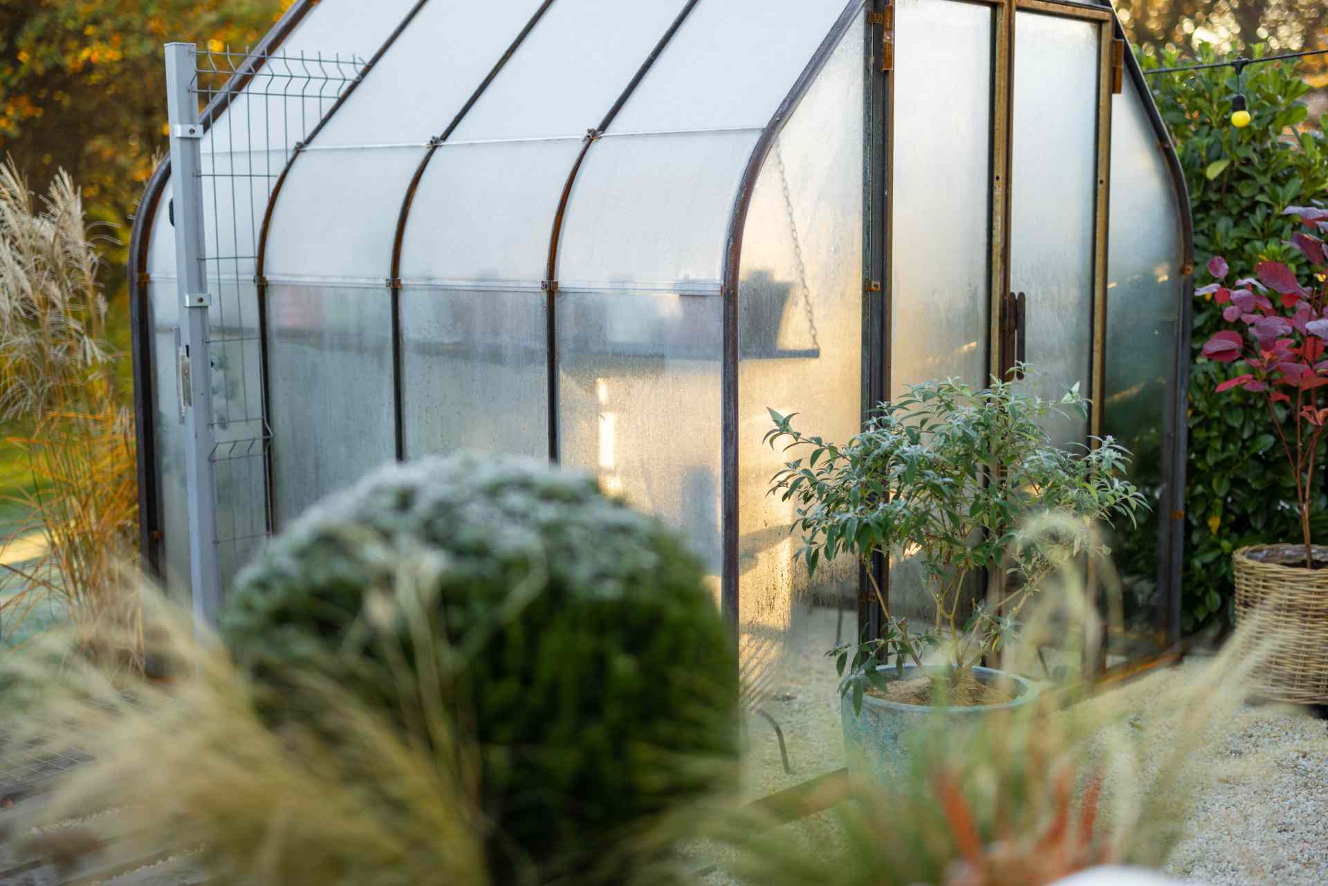 DIY Greenhouse Plans: Easy Plans To Build Now At Home