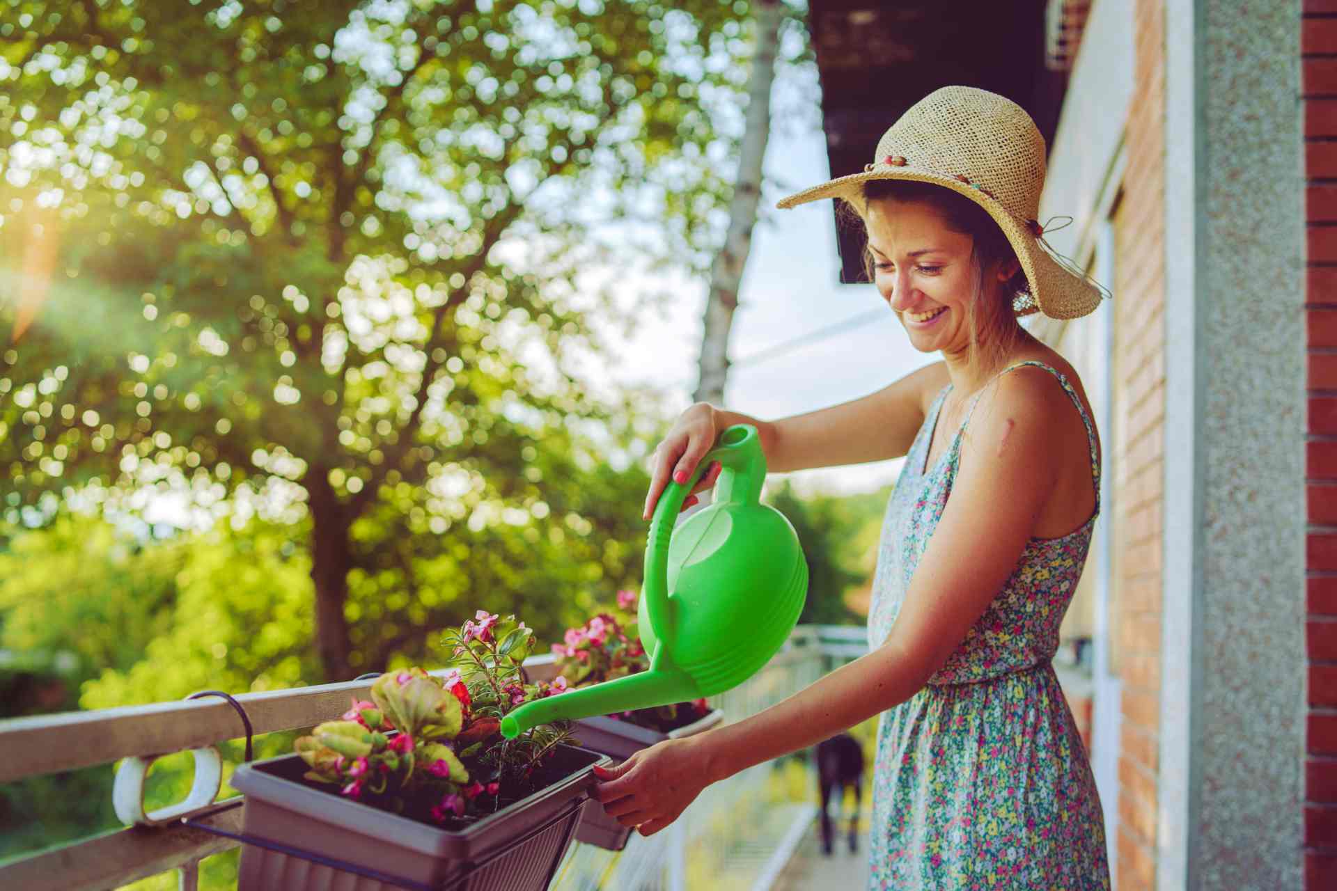 Woman watering flowers on a sunny balcony.