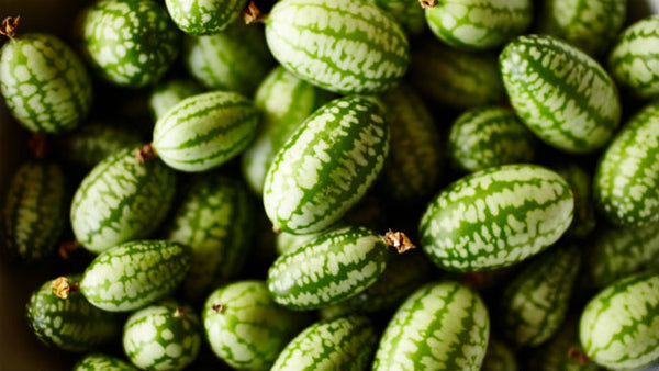 How to Grow and Eat Cucamelons?